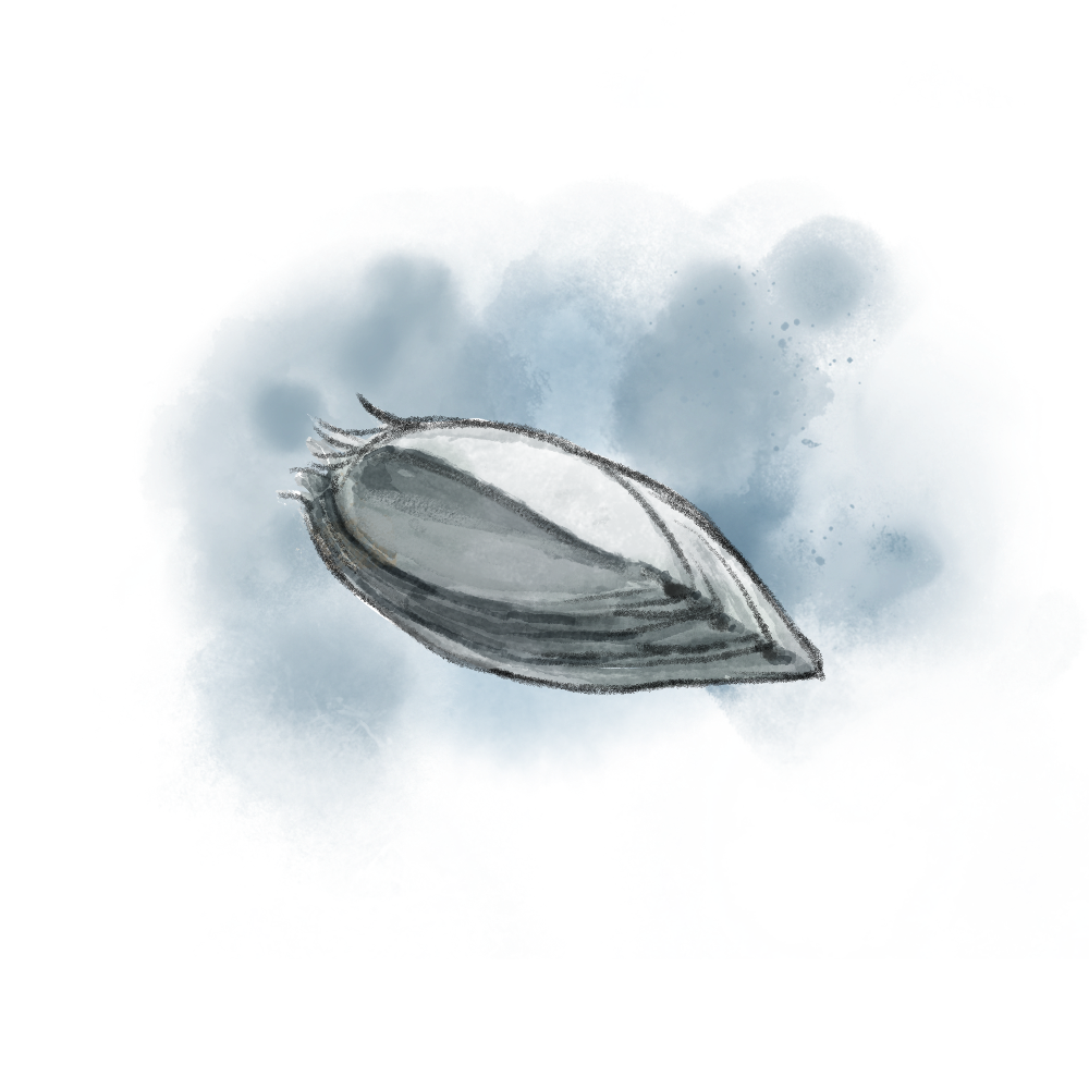Dragon's Scale.png
